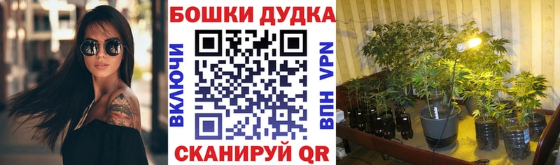 Бошки Шишки MAZAR omg маркетплейс Исилькуль
